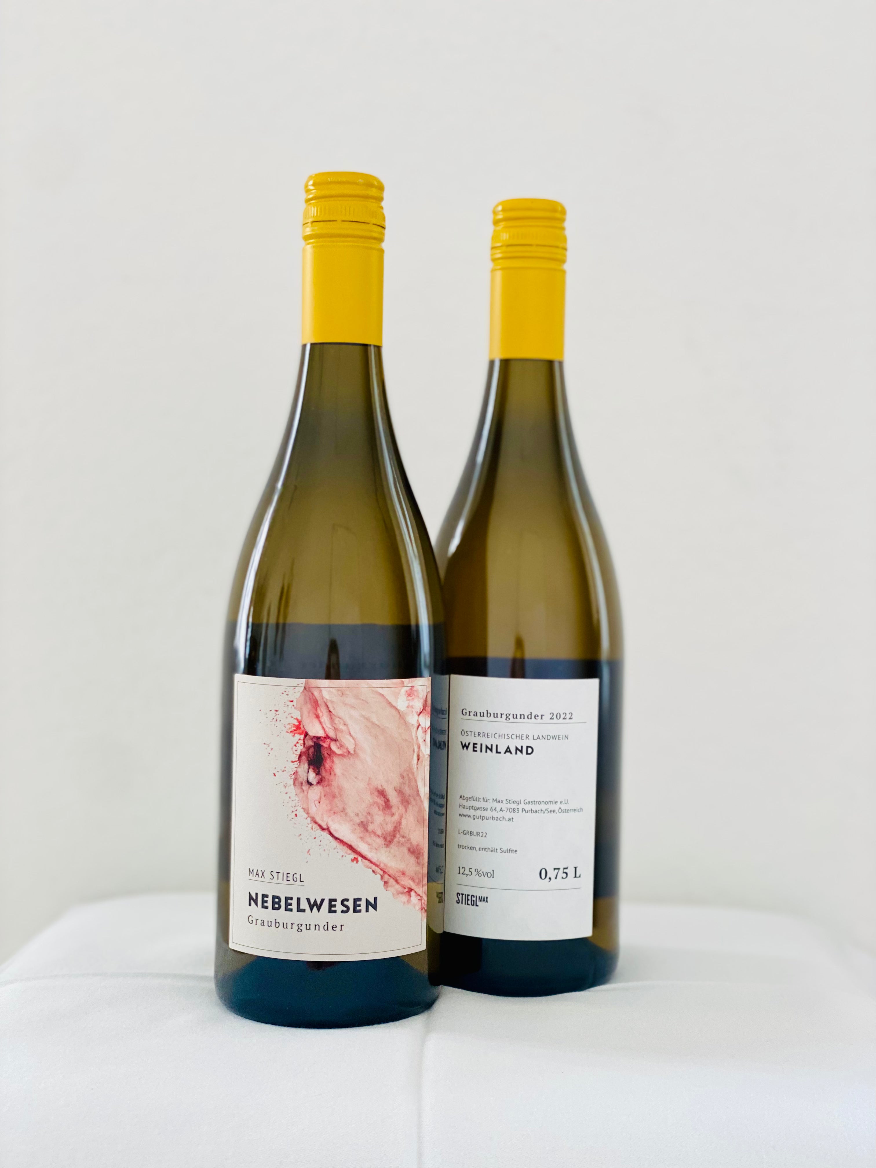 Nebelwesen Grauburgunder 2022 – Max Stiegl